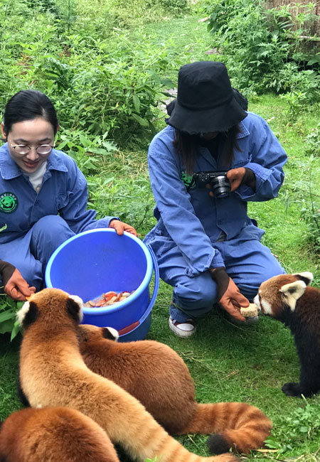Feed the pandas