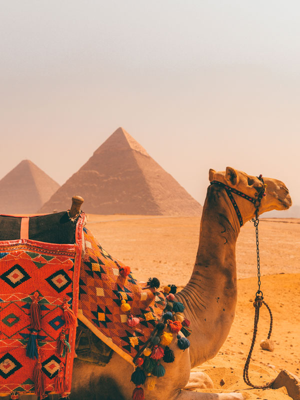 Egypt Pyramid tour