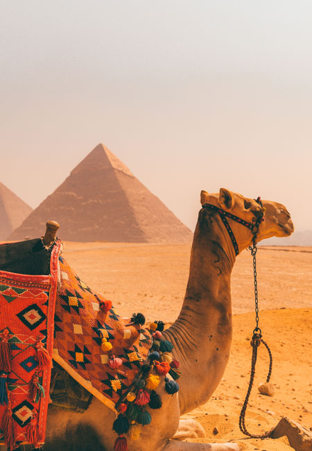 The Giza Pyramids
