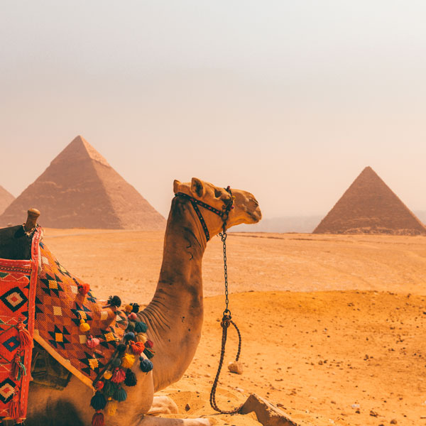 Essence of Timeless Egypt