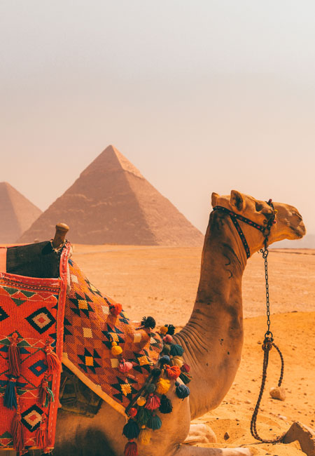 Visit the only wonder of the ancient world left on the planet
