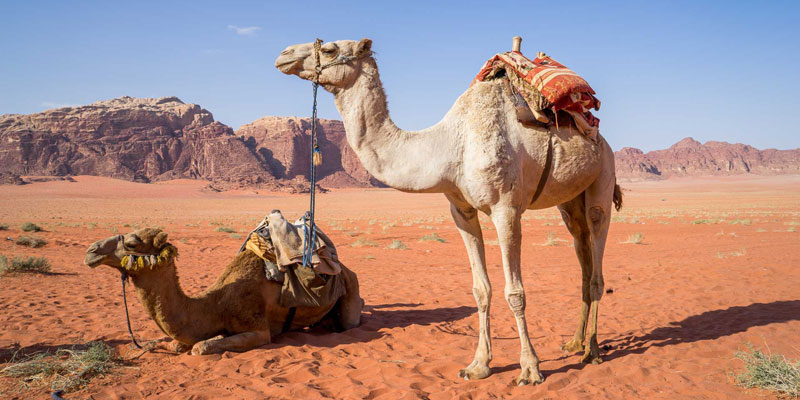 Wadi Rum desert
