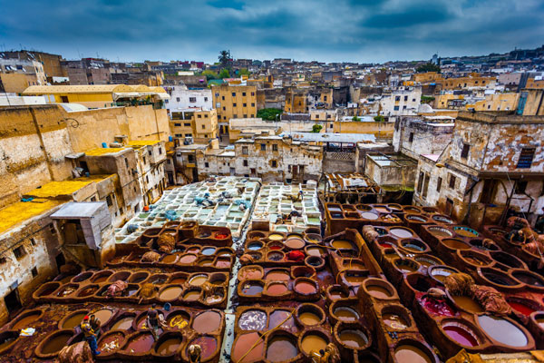 Tannery in Fez