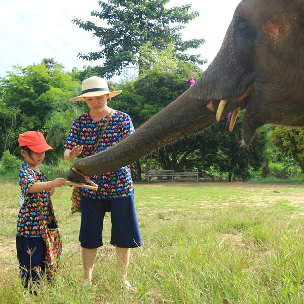 Thailand Family Holiday